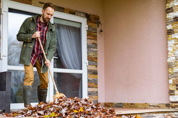 Debris Removal in Avon, OH
